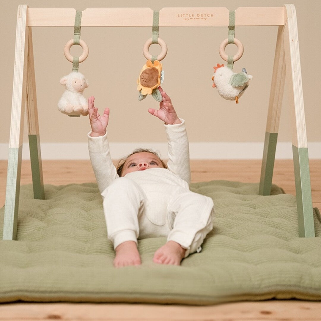 little dutch babygym met speeltjes little farm | LD8810 | 4