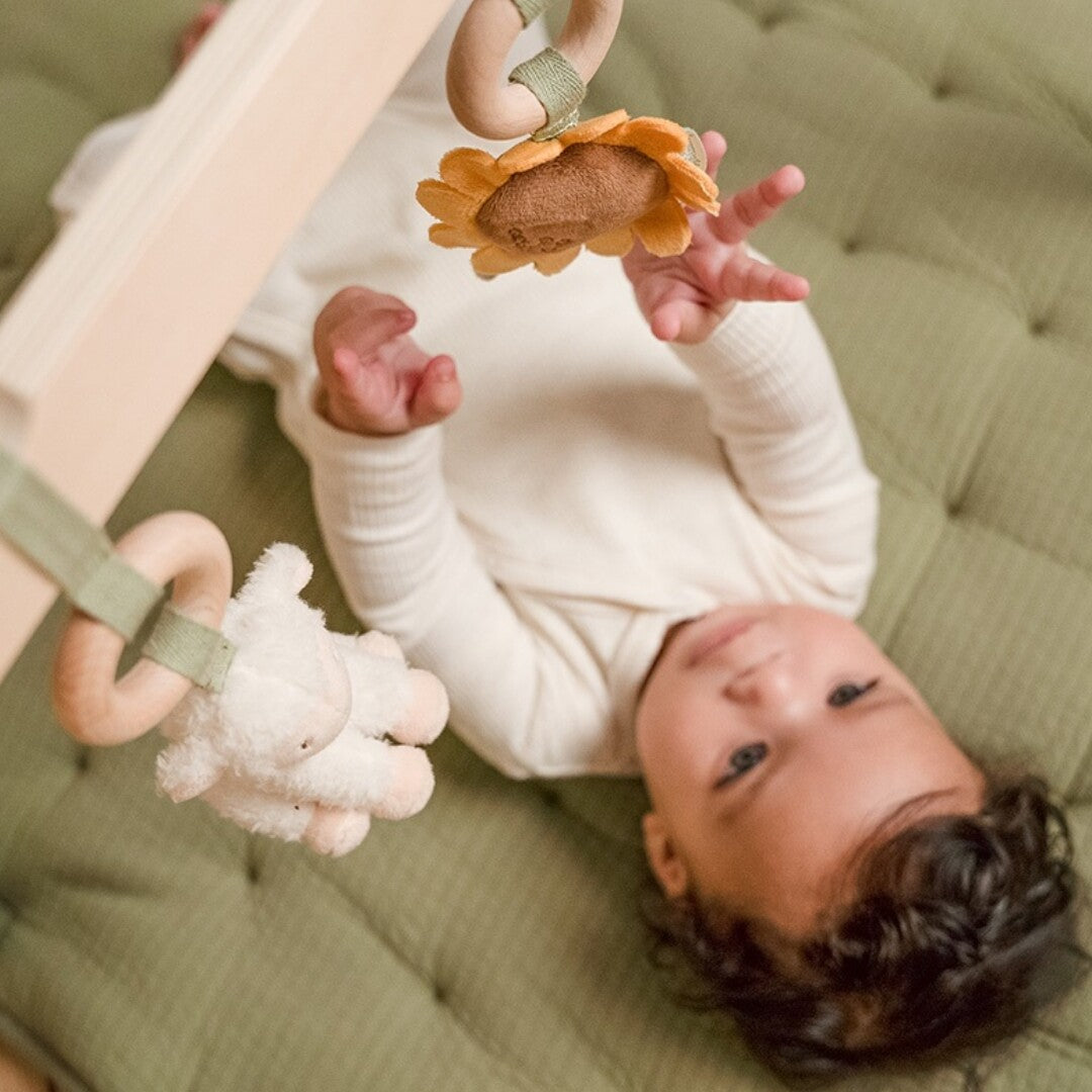 little dutch babygym met speeltjes little farm | LD8810 | 5