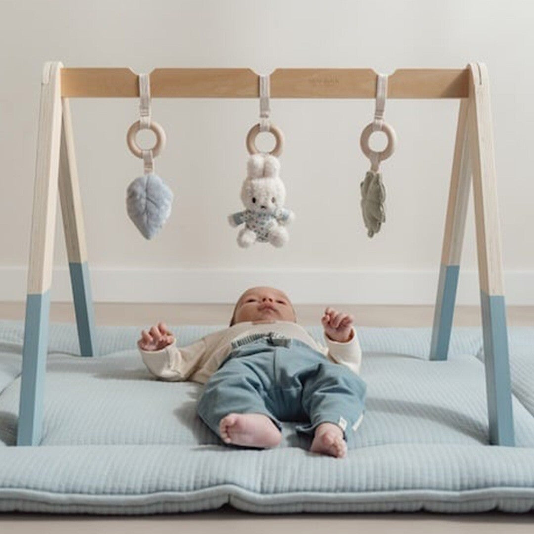 little dutch babygym met speeltjes nijntje - lucky leaves | NIJN460 | 1