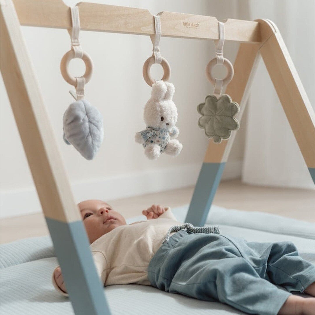 little dutch babygym met speeltjes nijntje - lucky leaves | NIJN460 | 2