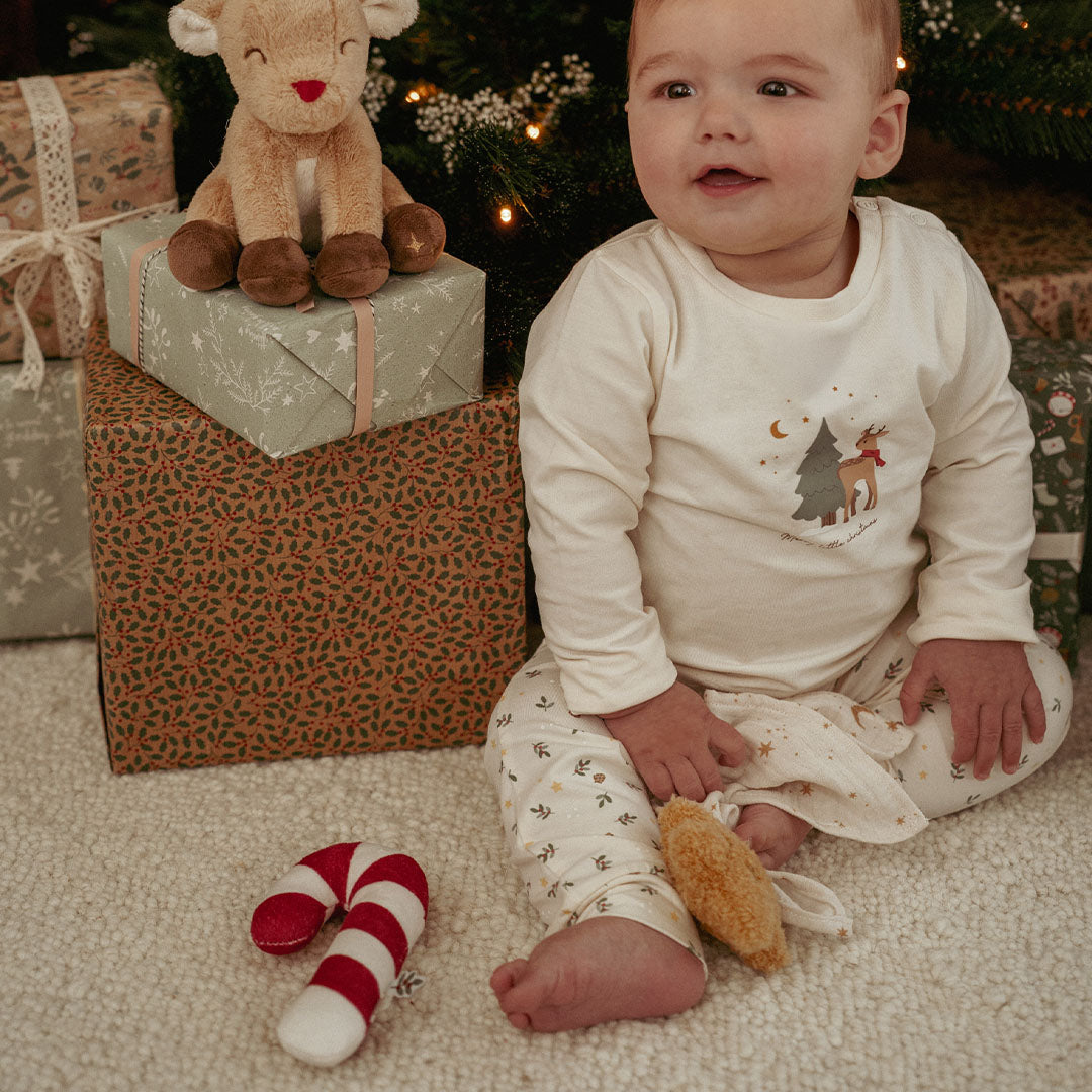 little dutch giftset newborn kerst | LD4878 | 4