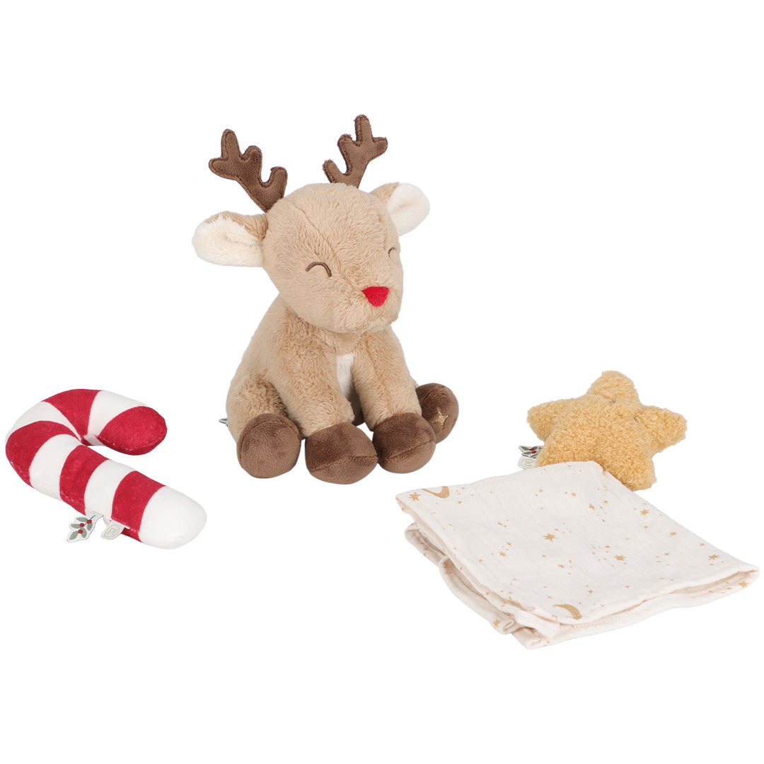 little dutch giftset newborn kerst | LD4878 | 6