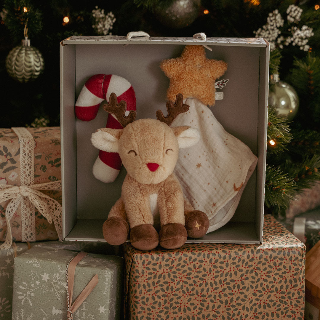 little dutch giftset newborn kerst | LD4878 | 2