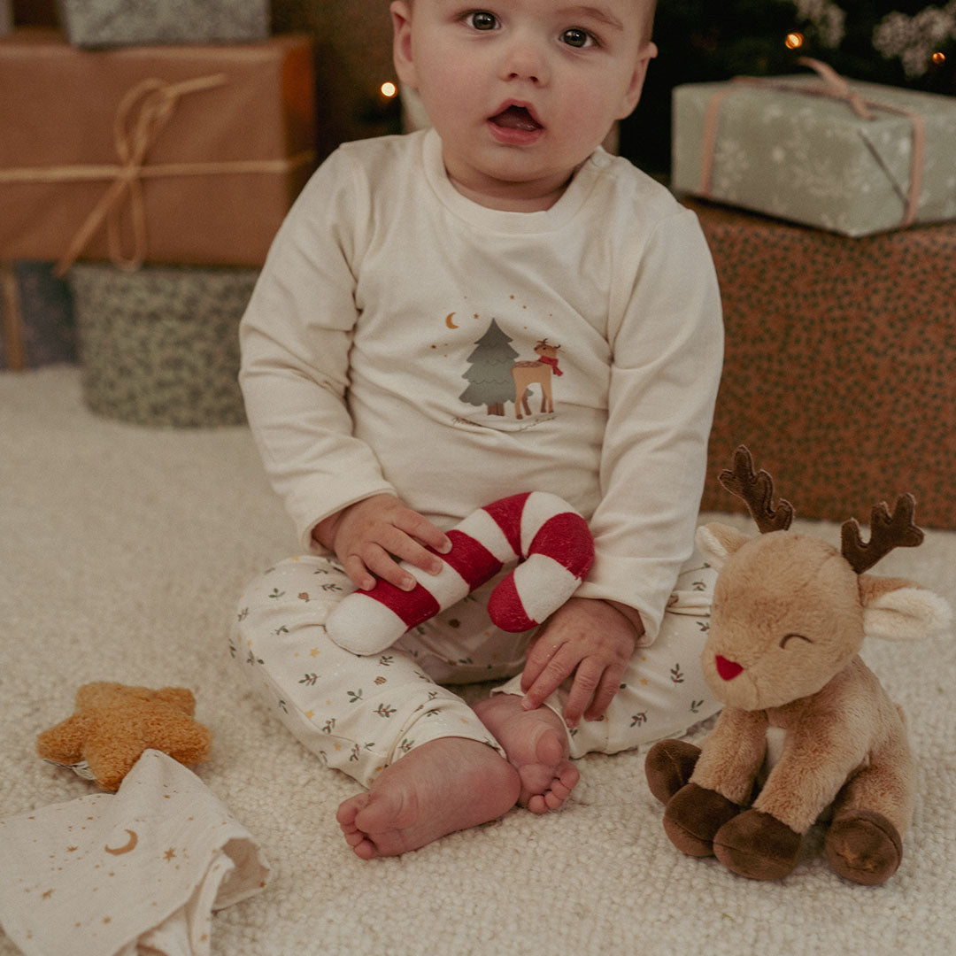 little dutch giftset newborn kerst | LD4878 | 3
