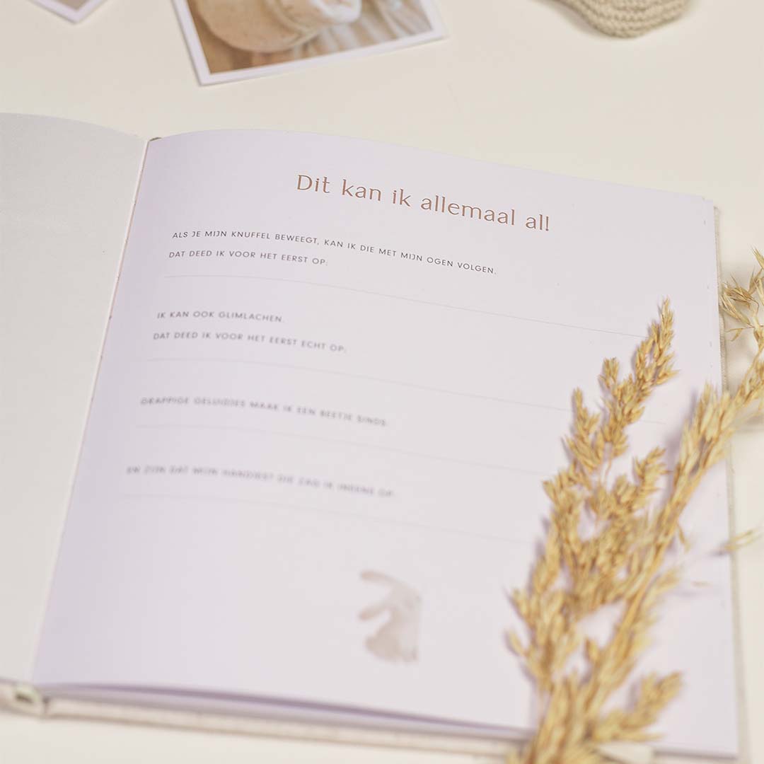little dutch invulboek mijn eerste jaar - baby bunny | LD4744 | 2