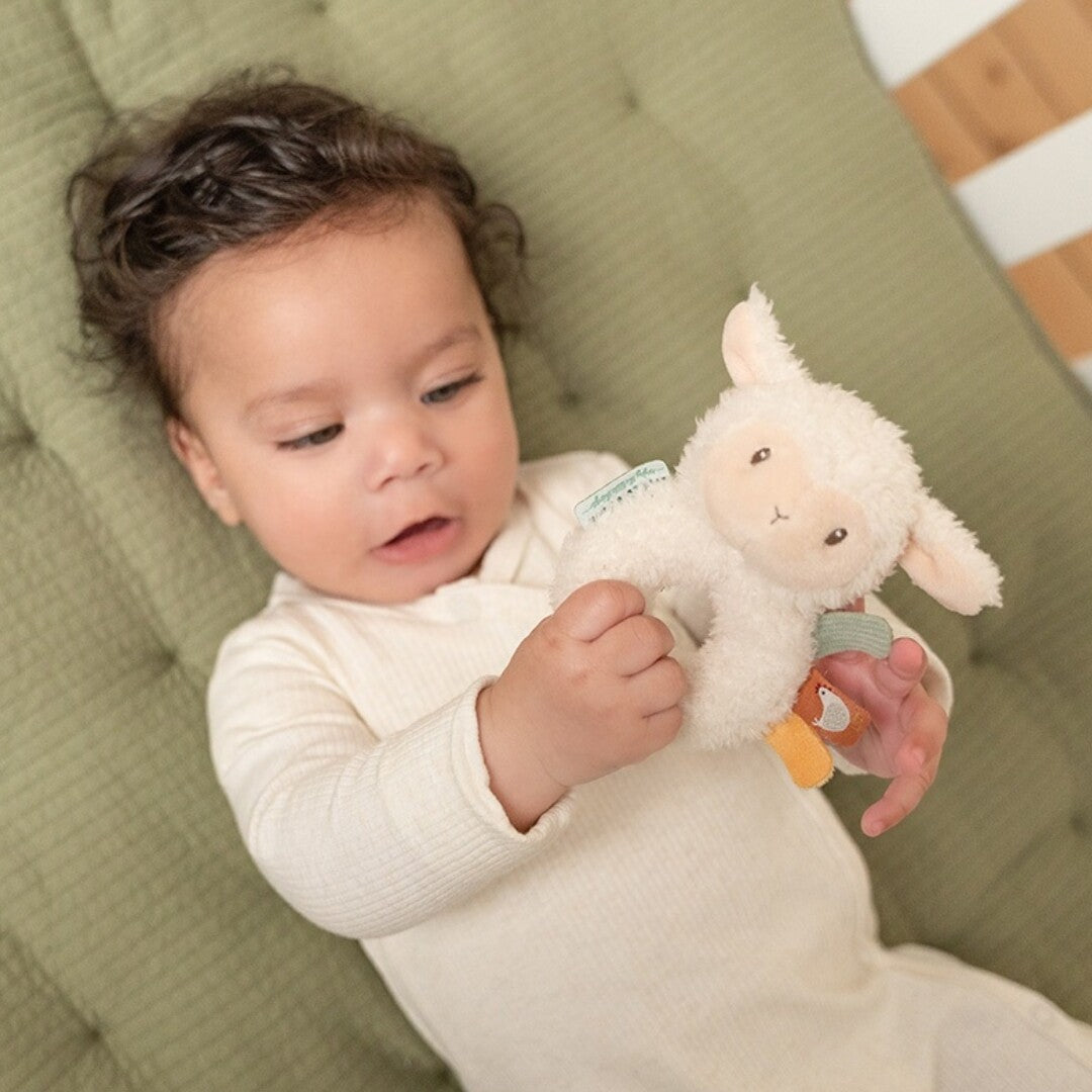 little dutch rammelaar schaap - little farm | LD8831 | 2