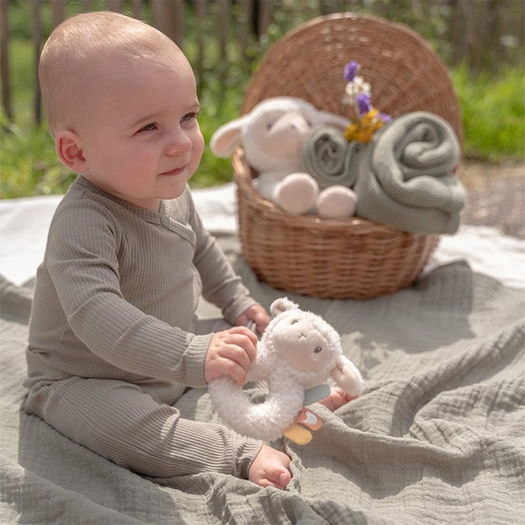 little dutch rammelaar schaap - little farm | LD8831 | 3