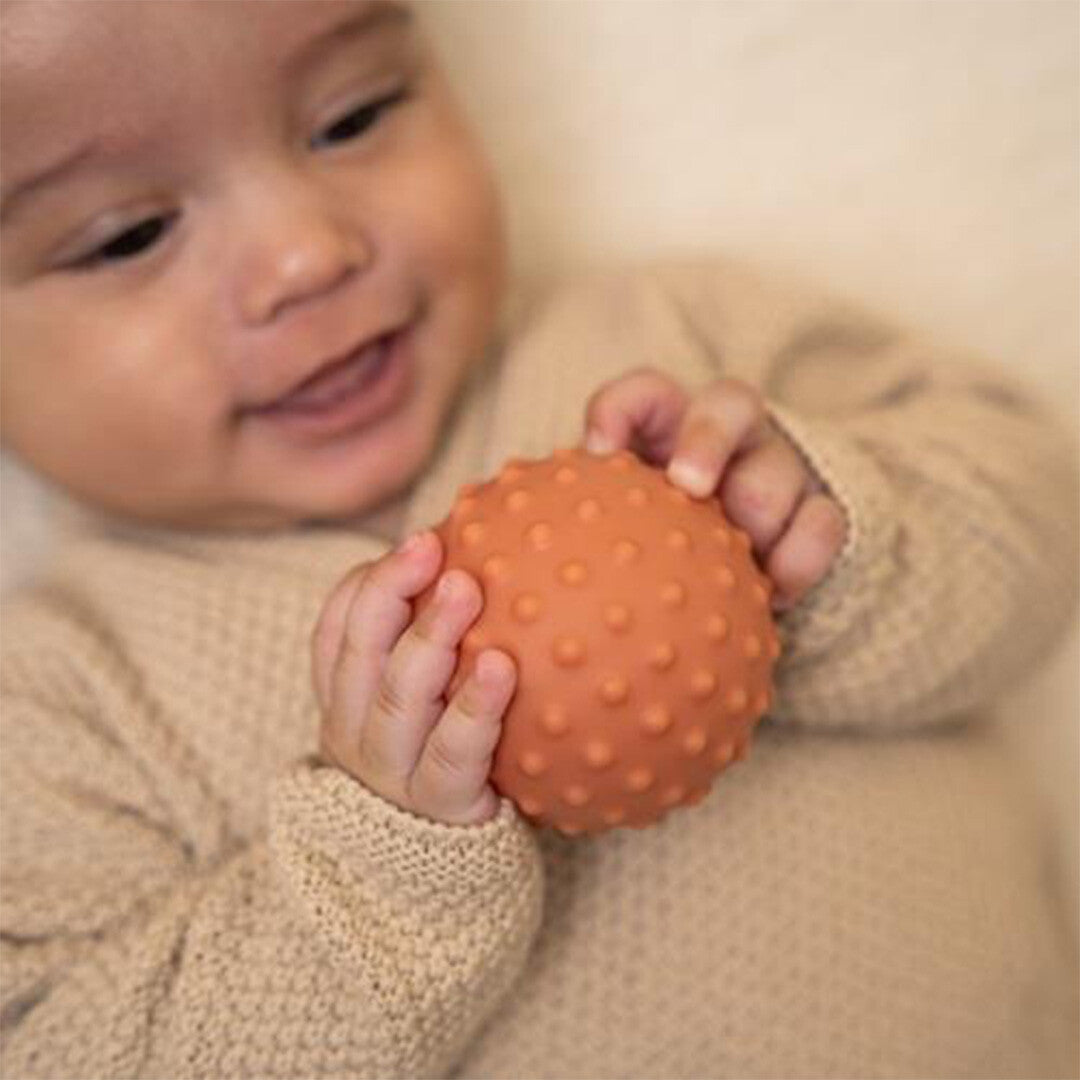 little dutch sensorische ballen little farm - 3st | 2012600 US | 2