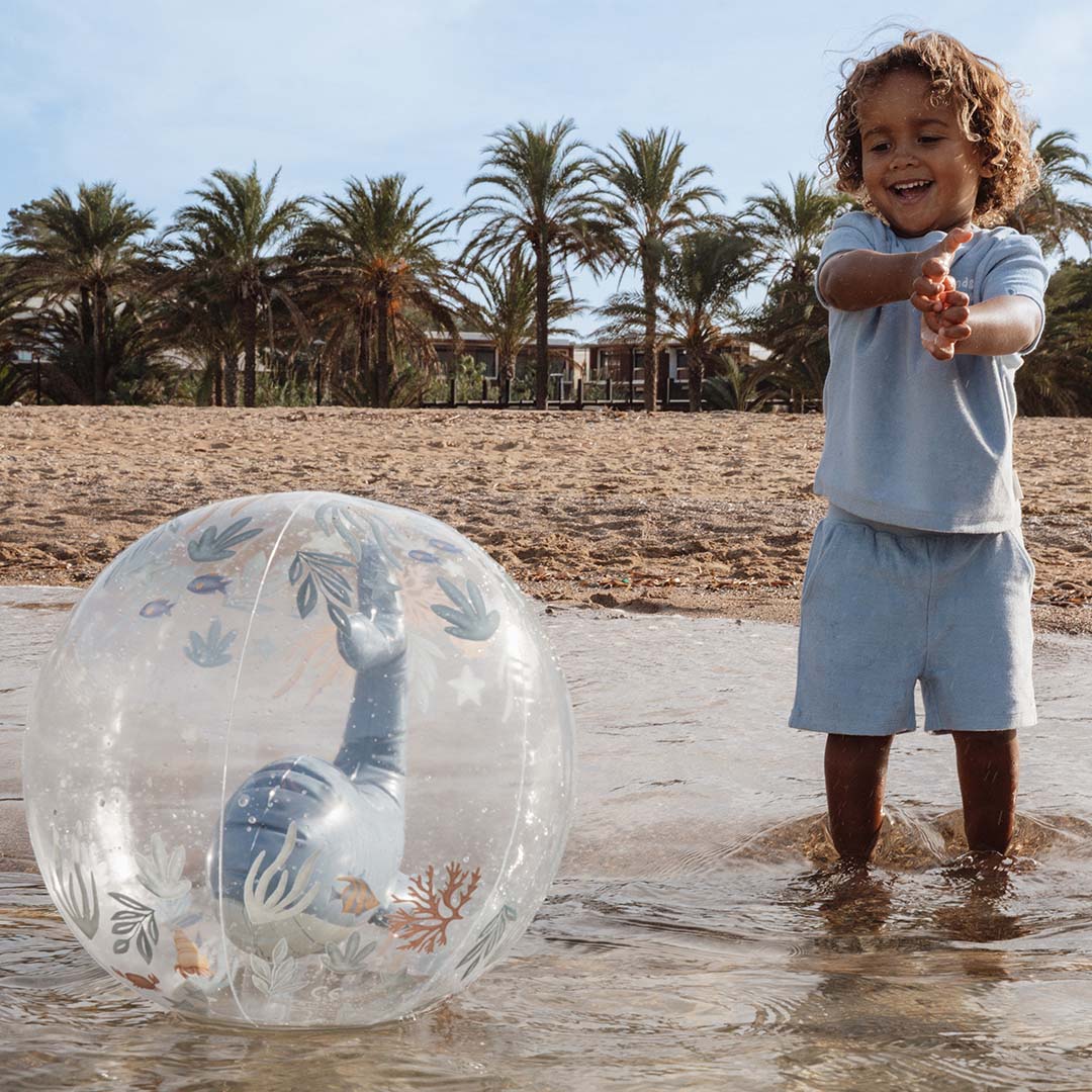 little dutch strandbal 3D ocean world | 2016389. |4