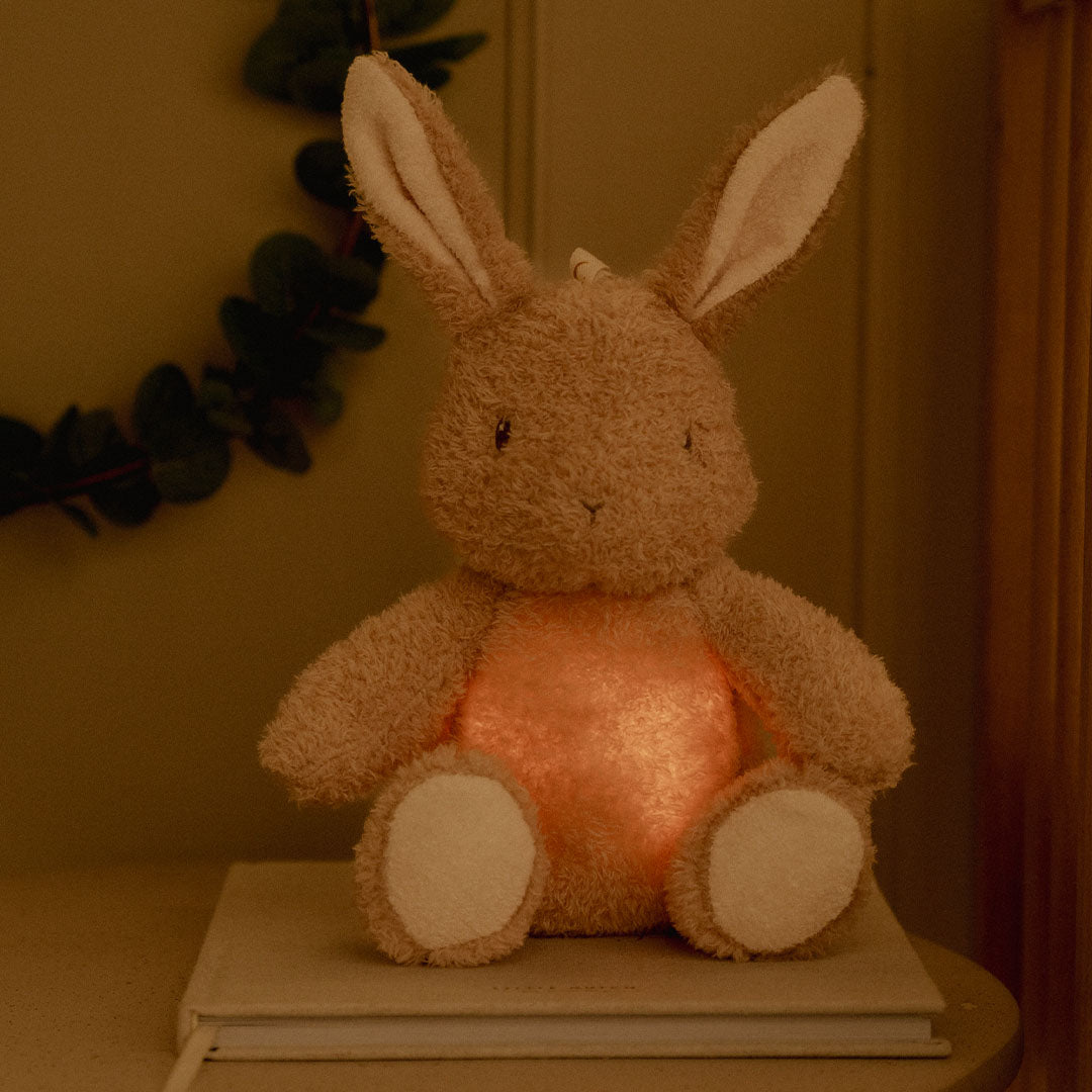 little dutch knuffelkonijn met licht en geluid | LD8441 | 1