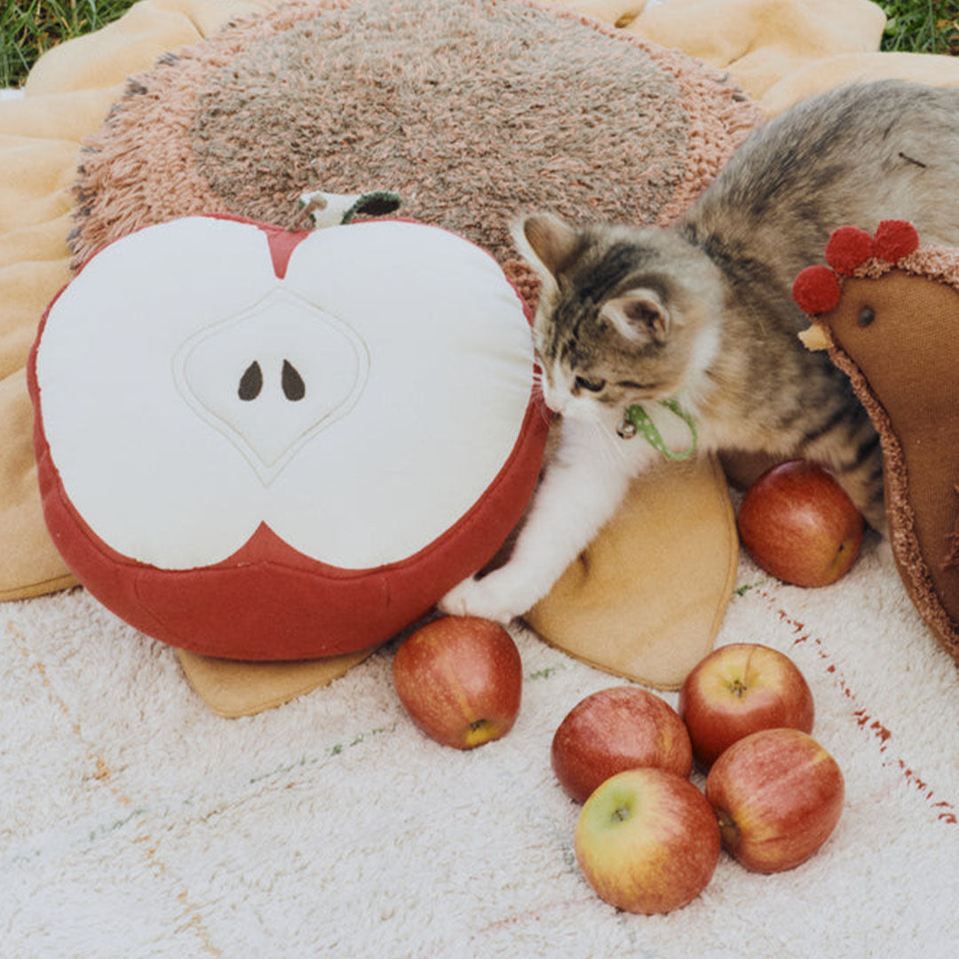 lorena canals kussen appel | SC-APPLE | 1