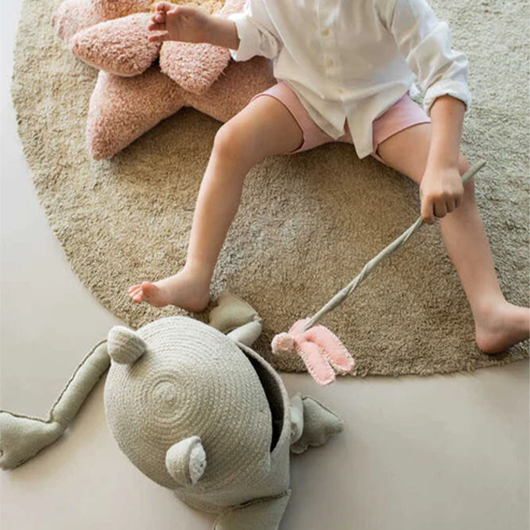 lorena canals opbergmand fred the frog | BSK-FROG | 2