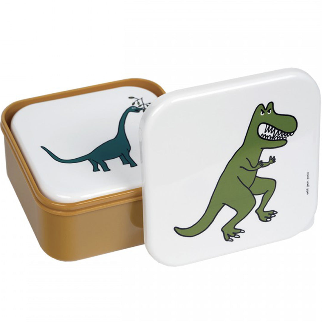 petit-jour-lunchbox-set-dinosaurus-3st-DI994L-1
