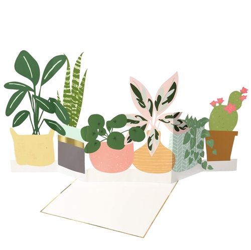 meri meri wenskaart planten | 205147 | 0