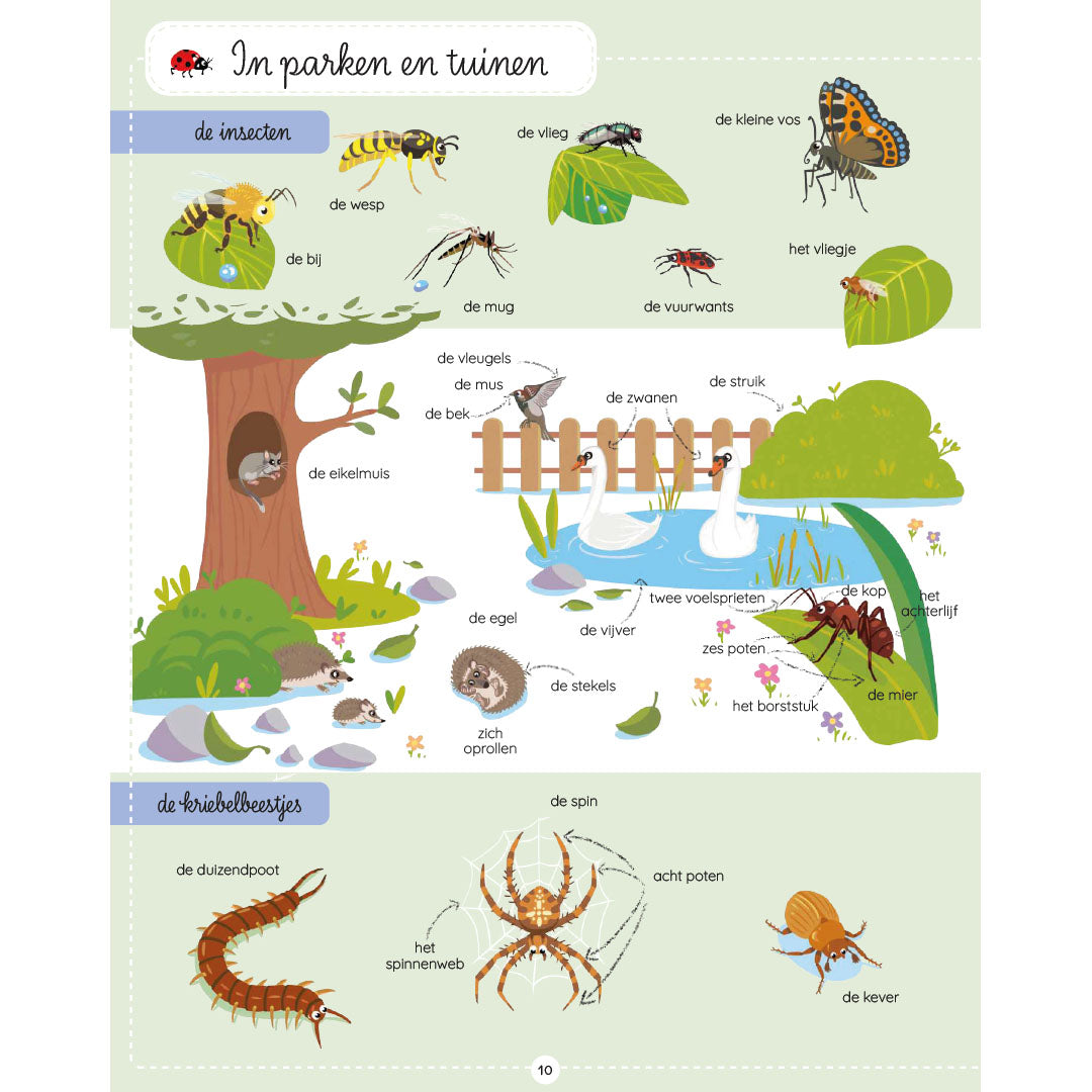 mijn eerste 1000 dieren