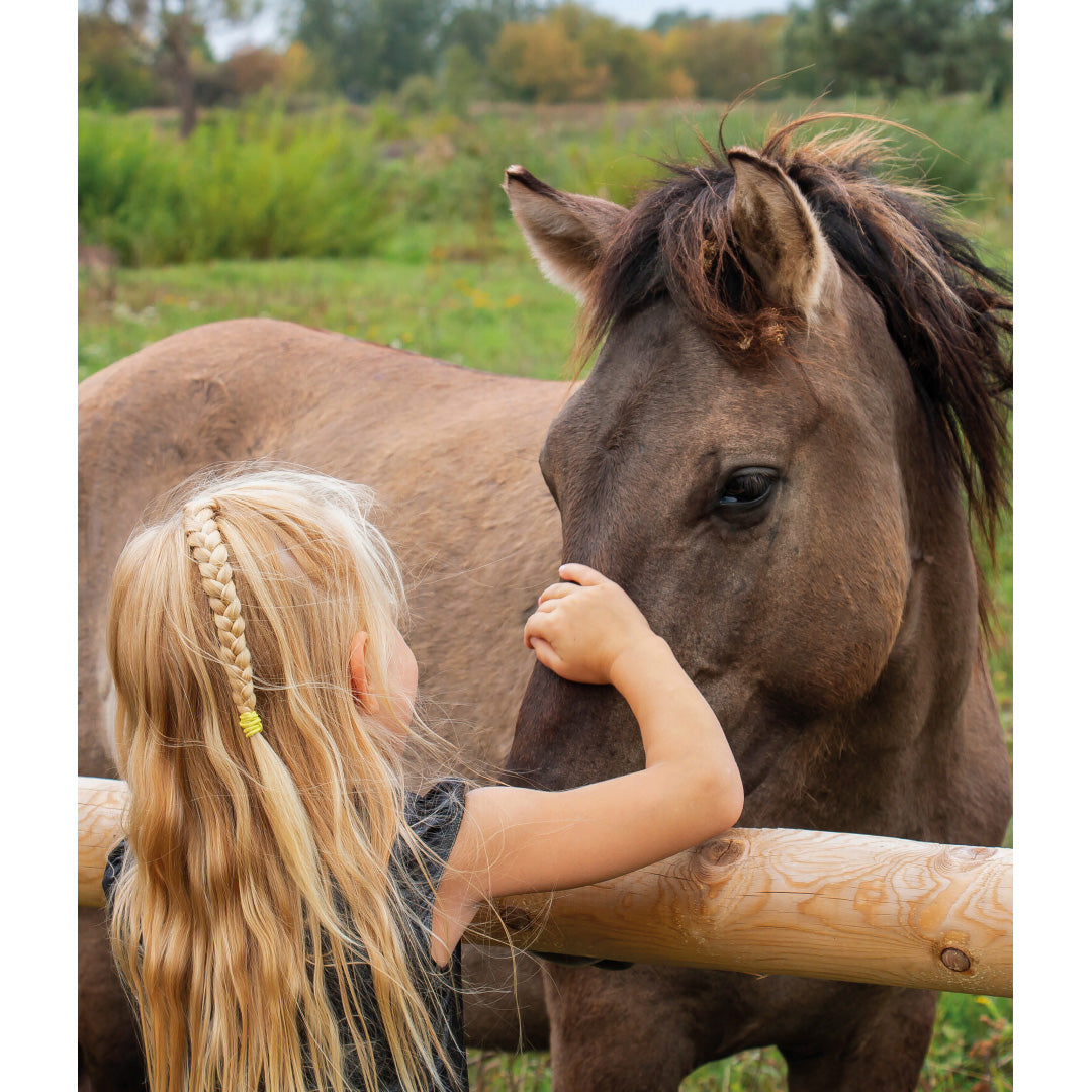 mijn eerste boek over paarden