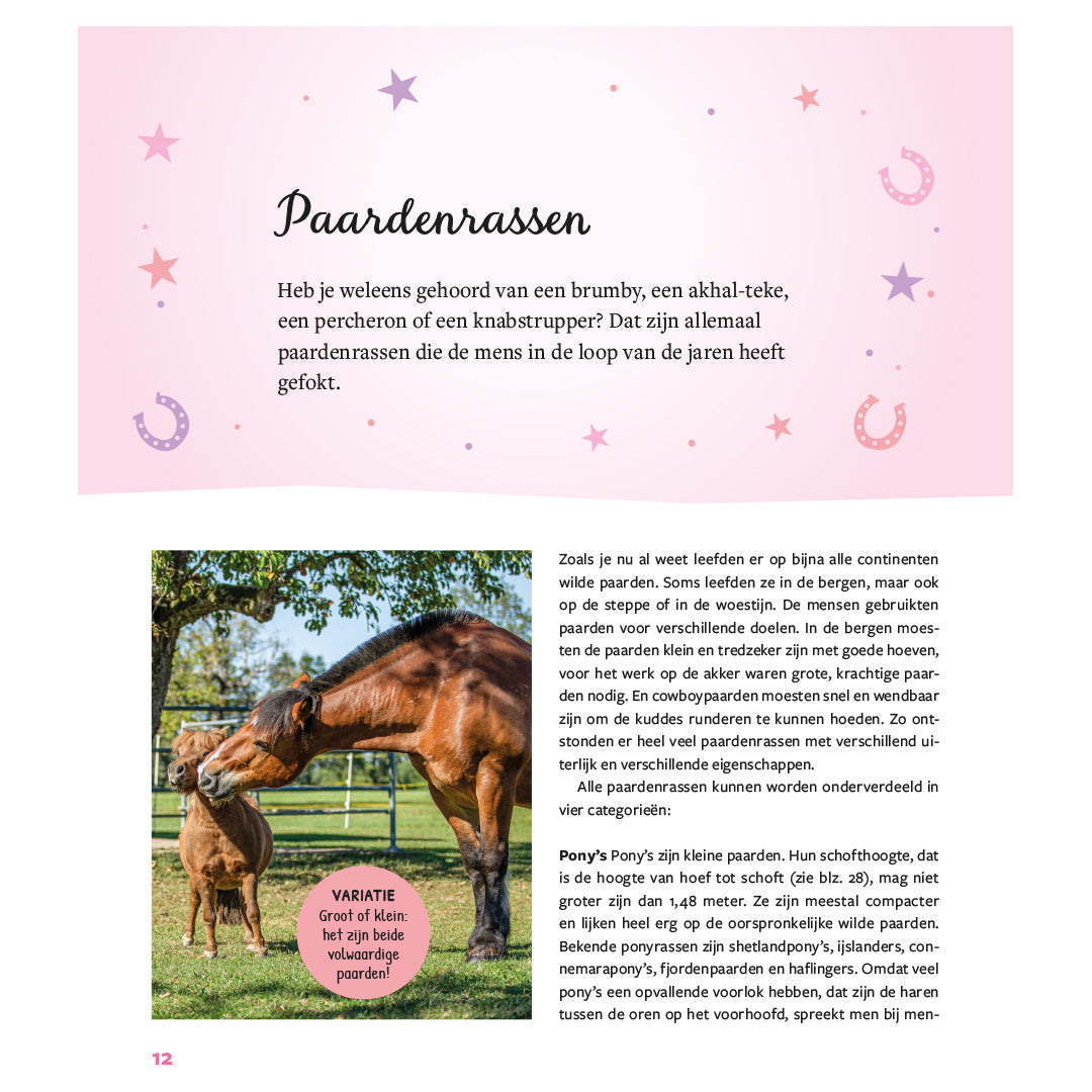 mijn eerste boek over paarden