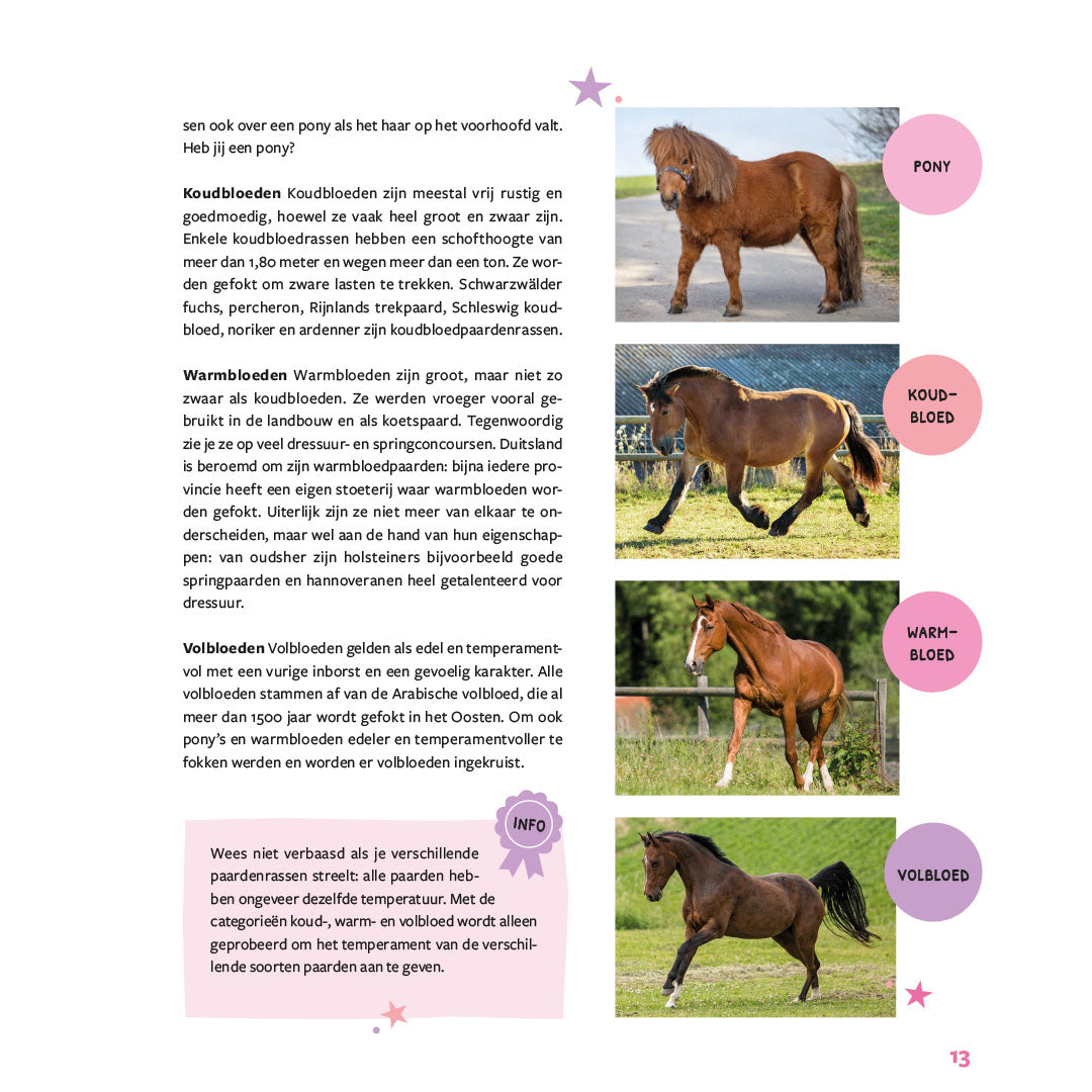 mijn eerste boek over paarden