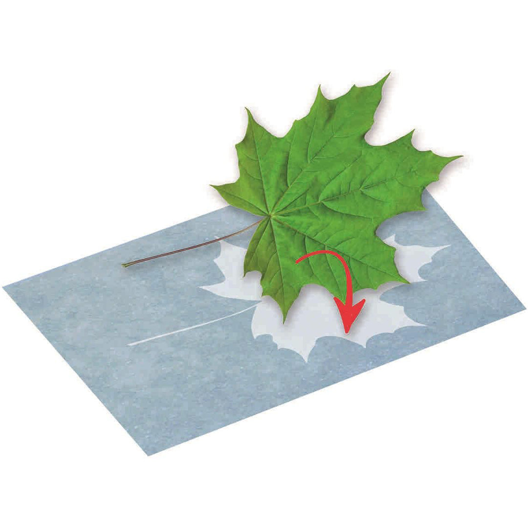 moses. phäntomint zonnepapier A5 - 10st | MOS-30318 | 2