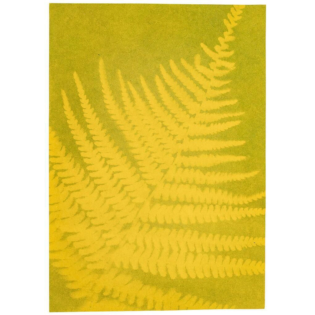 moses. phäntomint zonnepapier A5 - gekleurd - 10st | MOS-30365 | 4