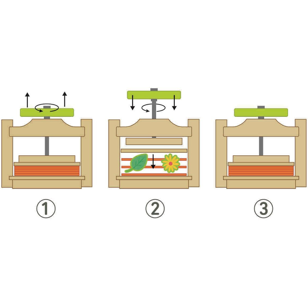 moses. plantenpers expedition natur |  MOS-9827 | 4