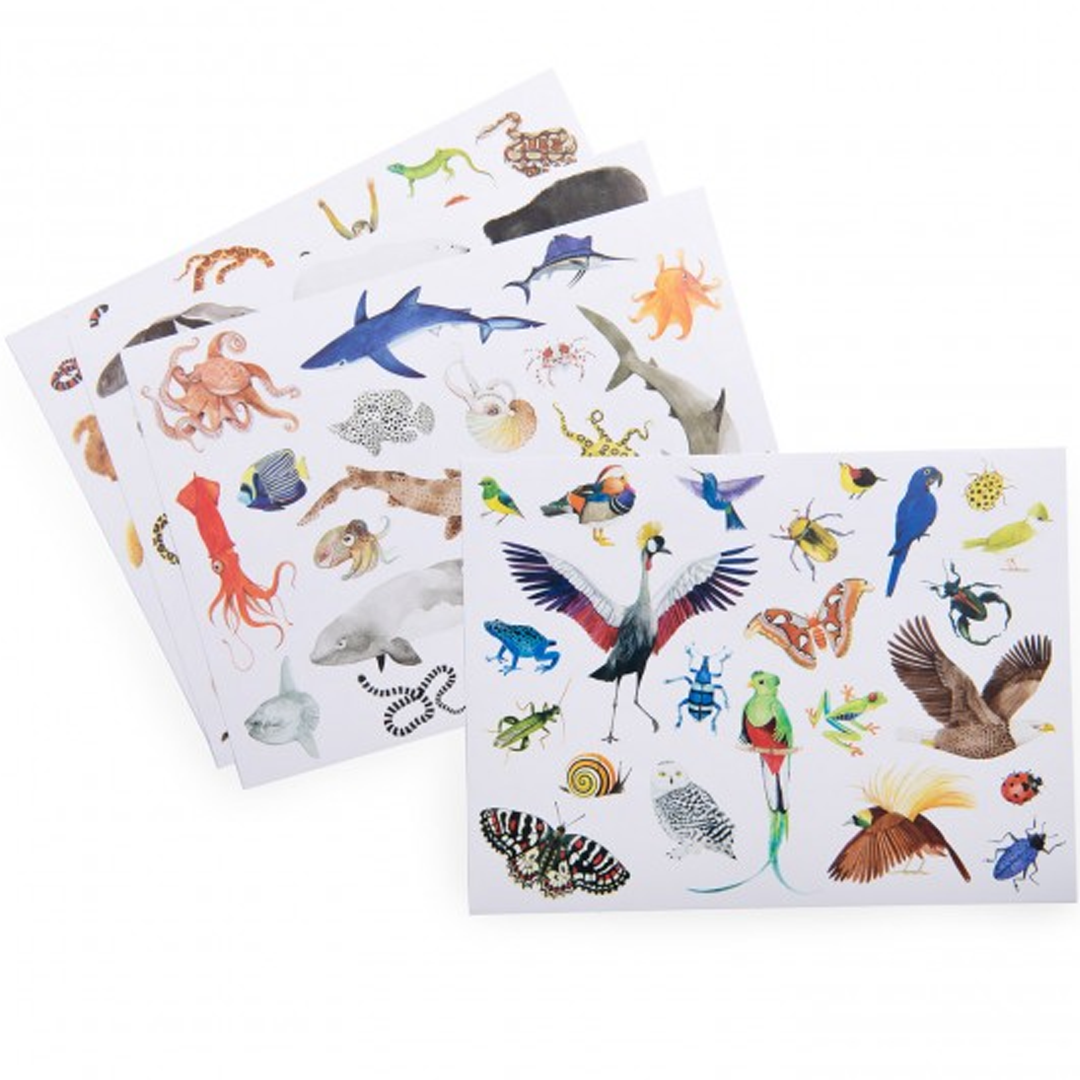 moulin roty herbruikbare stickerset tout autour du monde - 78st | 719189 | 1