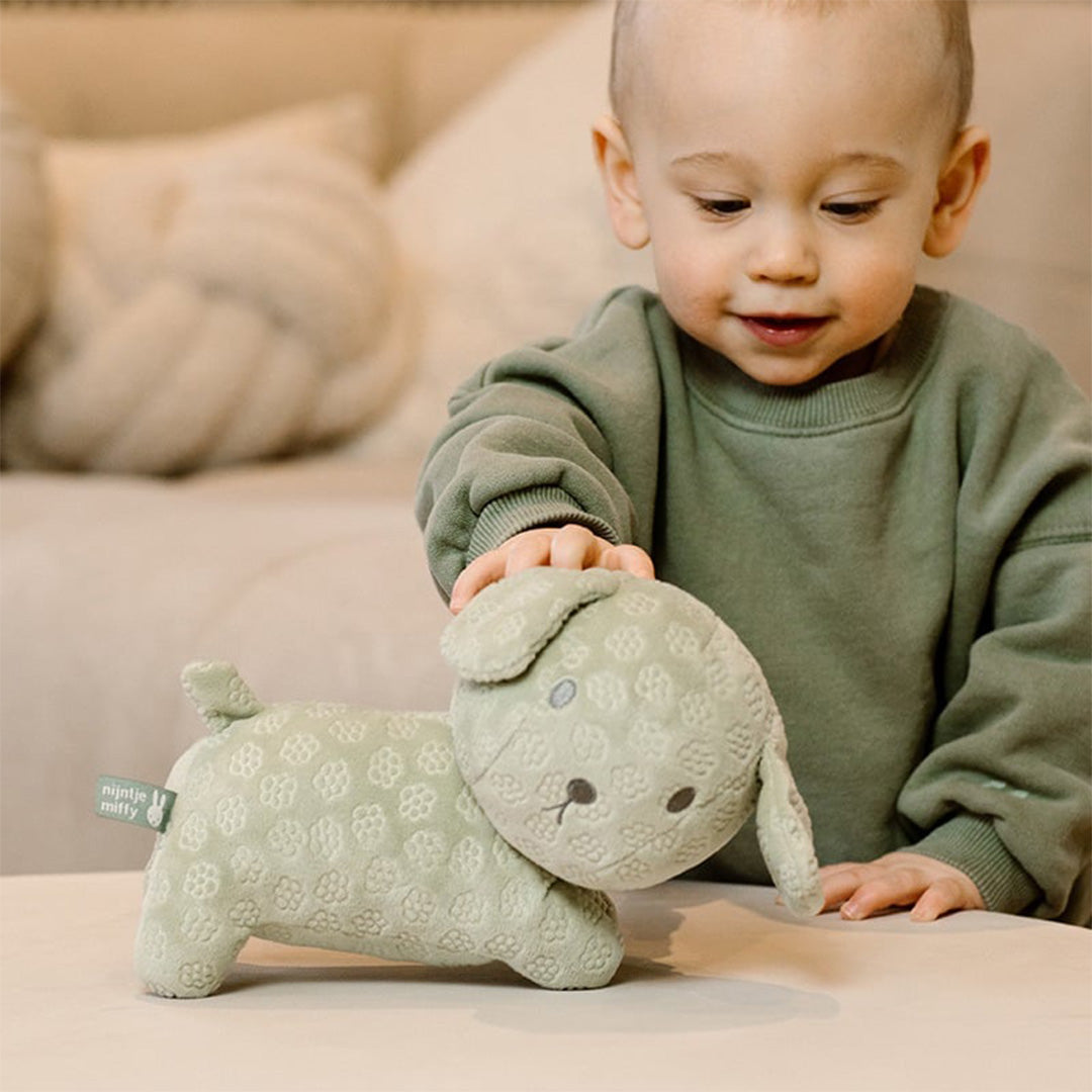 nijntje-knuffelhond-snuffie-green-flower-25-cm_2