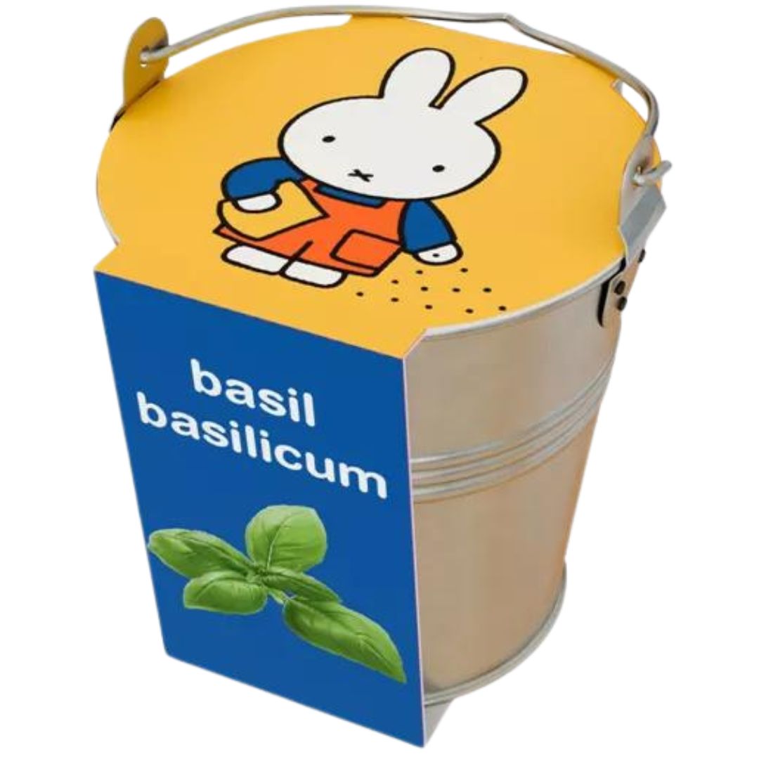 nijntje kweekset in zinken emmertje - basilicum | 10114-NIJNTJE-BASILICUM | 0