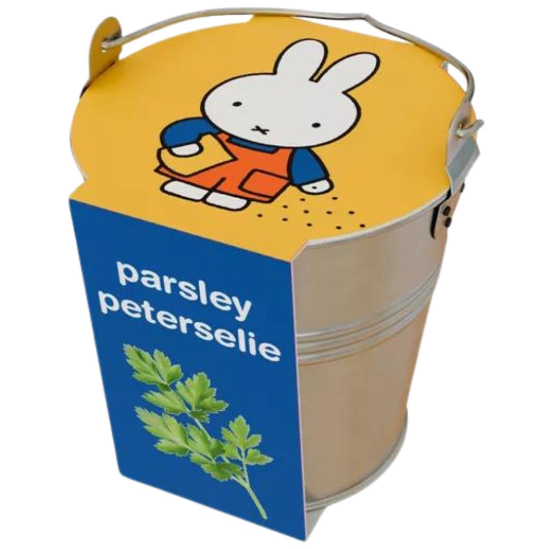 nijntje kweekset in zinken emmertje - peterselie | 10115-NIJNTJE-PETERSELIE | 0