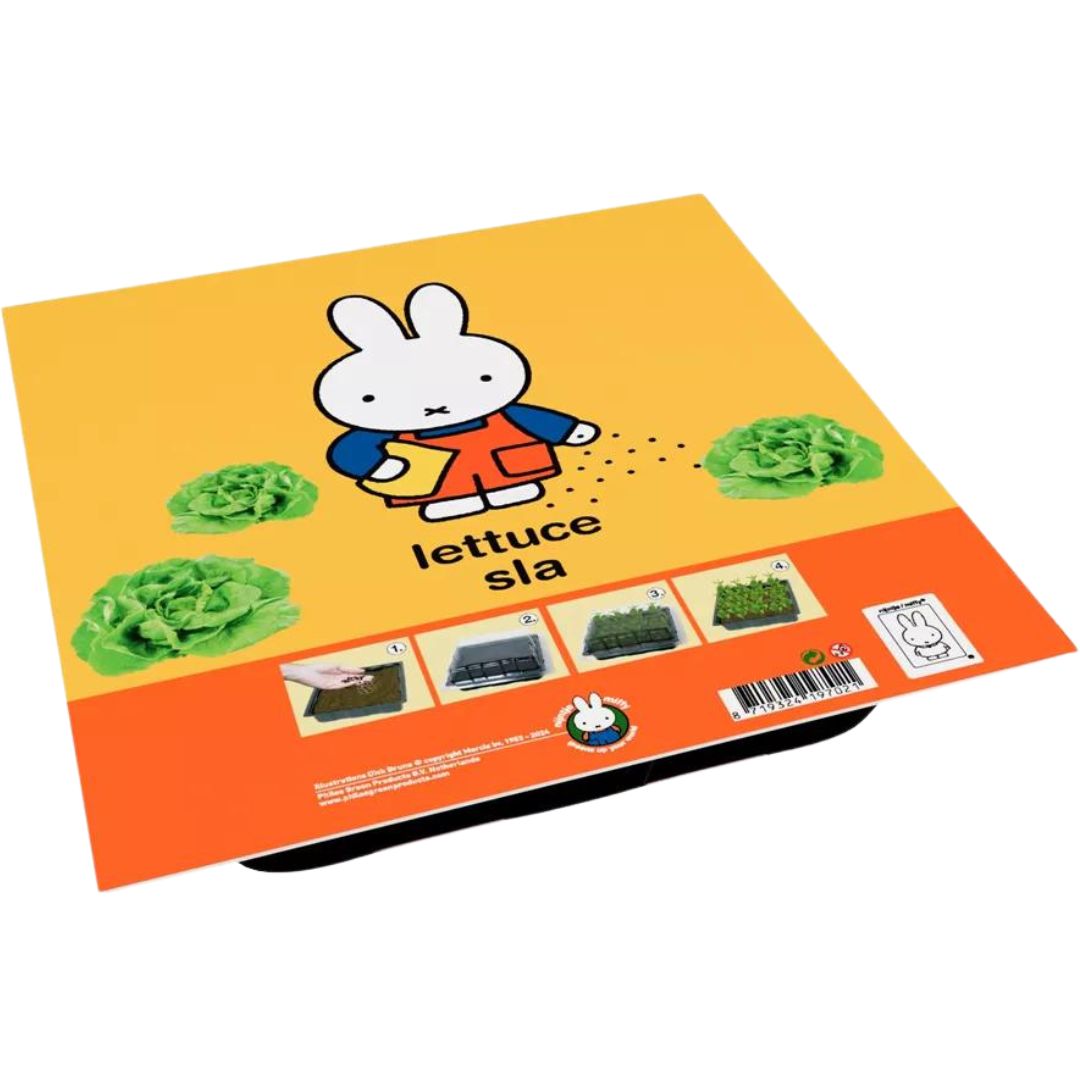 nijntje kweekset sla | 10117-NIJNTJE-SLA | 0