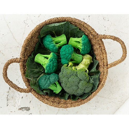 oli & carol bijt- & badspeelgoed broccoli | L-BROCCOLI-UNIT | 9