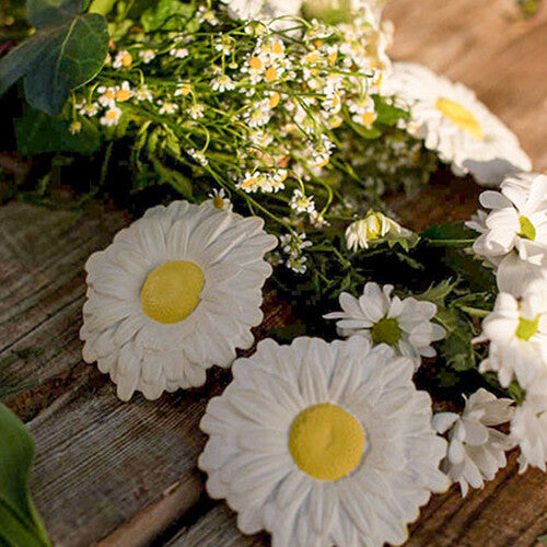 oli & carol bijt- & badspeelgoed madelief | L-DAISY-WHITE | 5