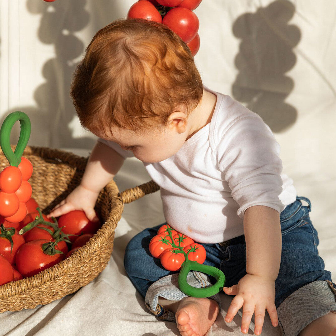 oli & carol rammelaar tomaten | L-RATTLE-TOMATO | 2