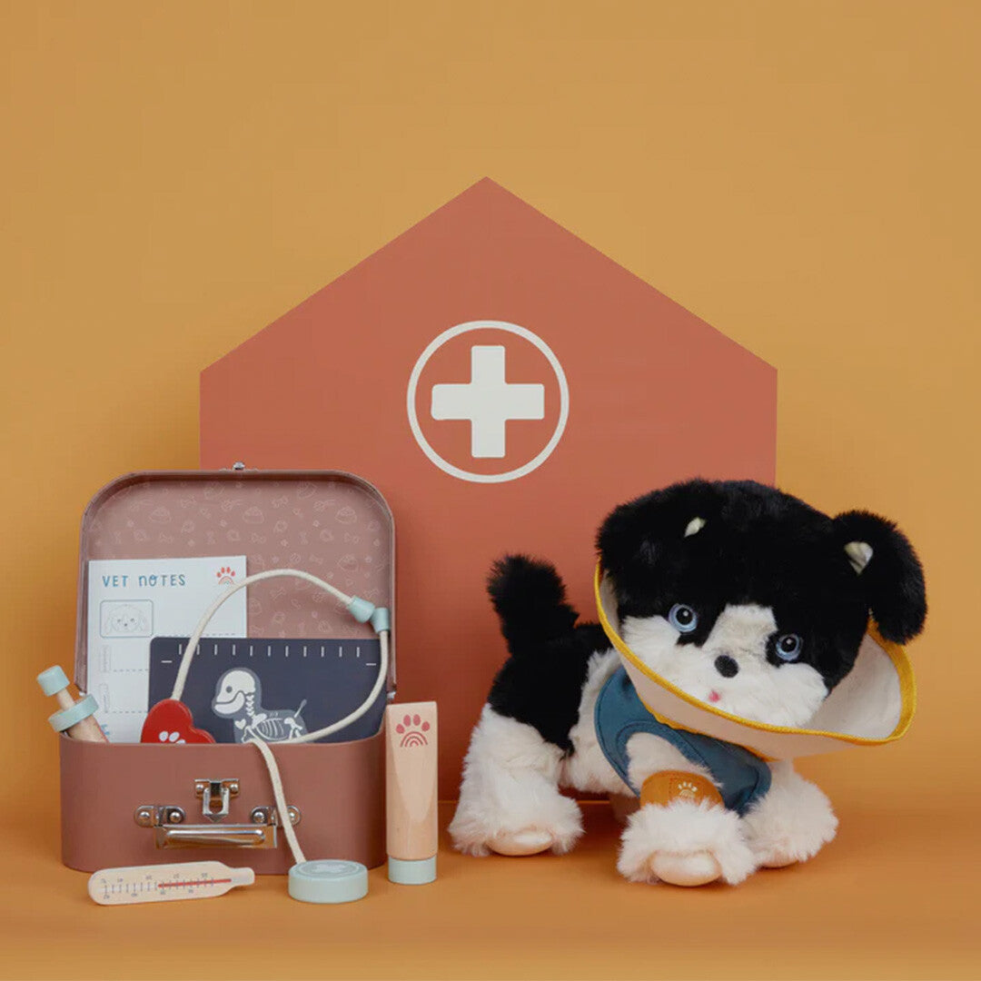 olli ella dinkum dog dierenarts speelset - 11-delig | OEKACC-DDA-VT-O | 4