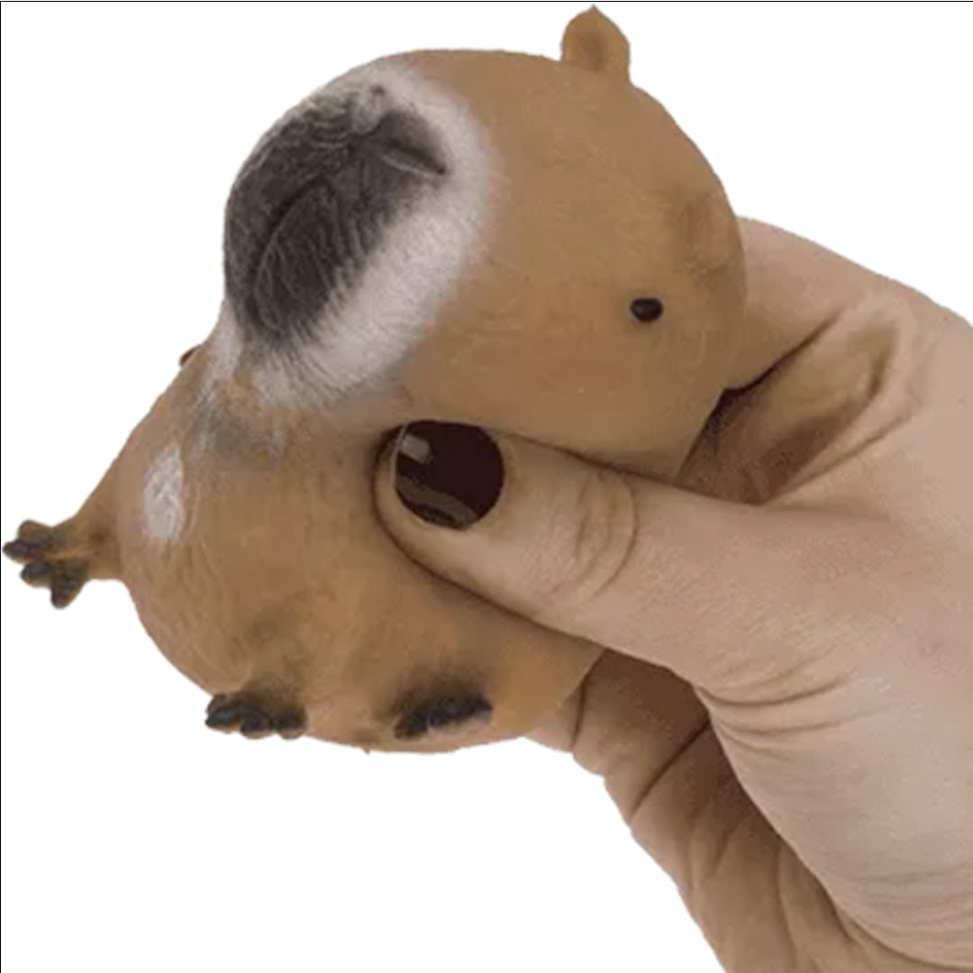 out of the blue knijpspeeltje capybara | OB626305 | 4