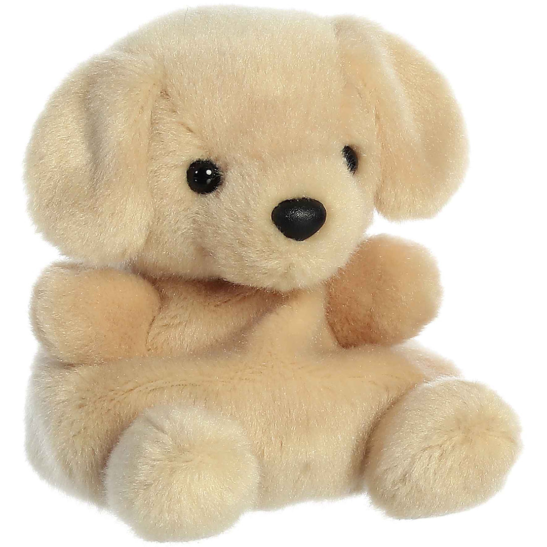 palm-pals-knuffelhond-labrador-sunny-13-cm-PP33532-1