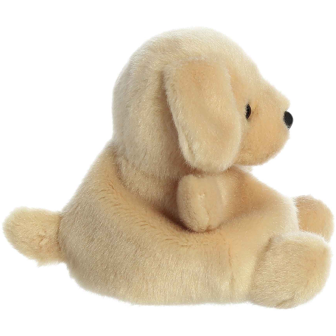 palm-pals-knuffelhond-labrador-sunny-13-cm-PP33532-2
