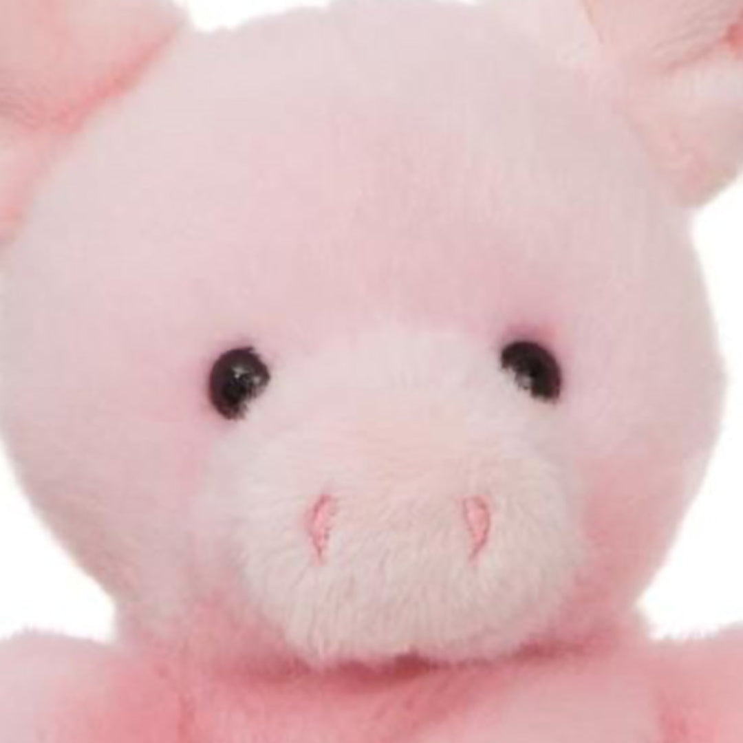 palm-pals-knuffelvarken-wizard-13-cm-PP61242-4