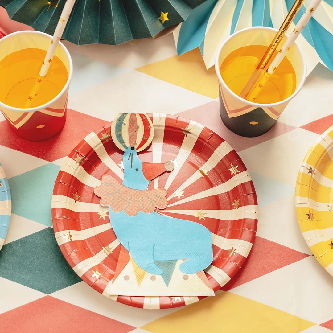 partydeco borden - circus - 6st | TPP96 | 3