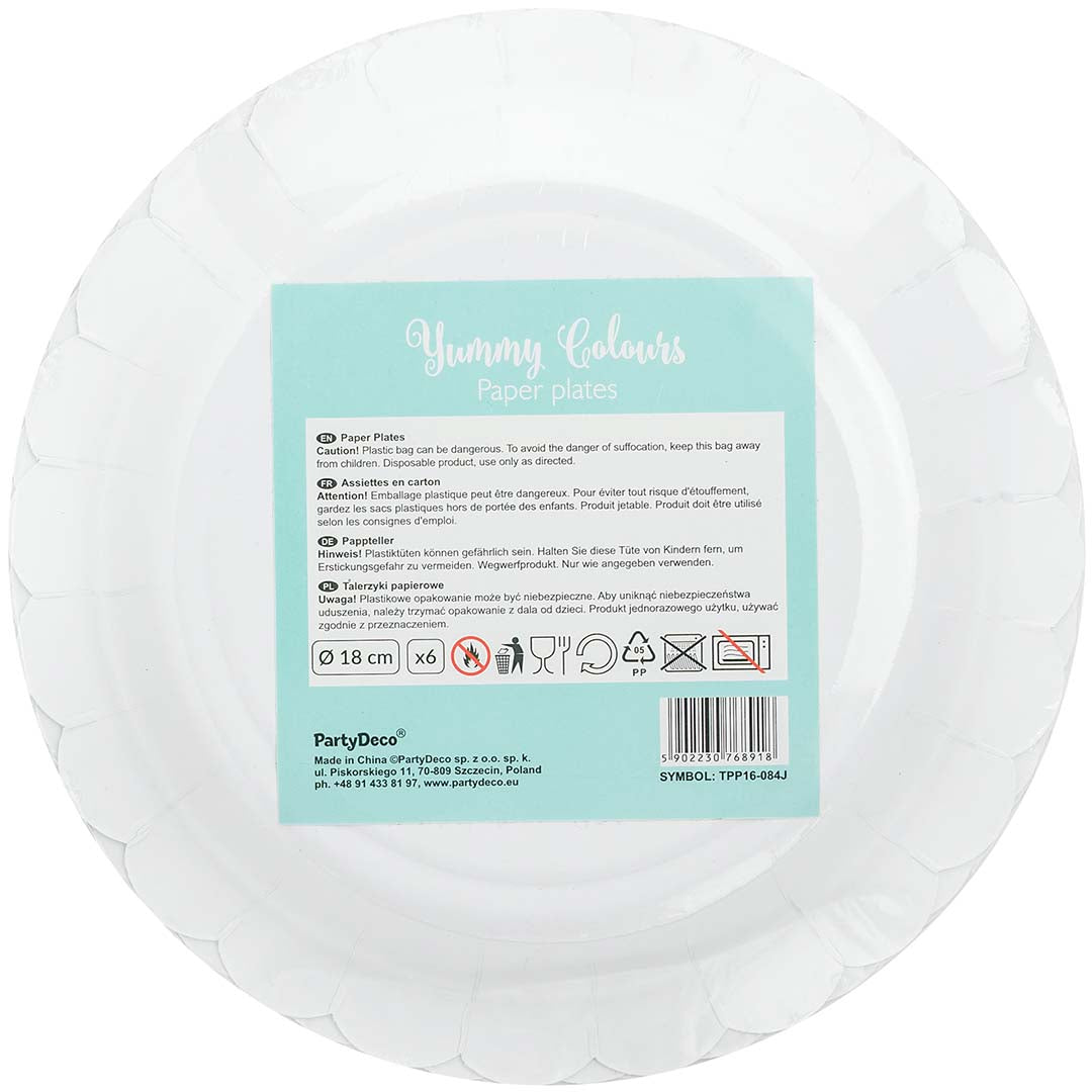 partydeco borden - mintgroen - 6st | TPP16-103 | 4