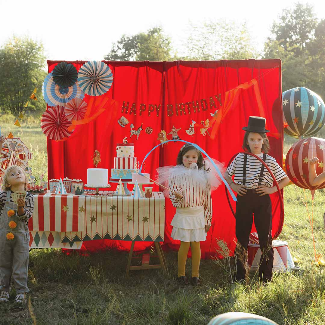 partydeco feestversiering rozetten - circus - 5st | RPK33 | 2