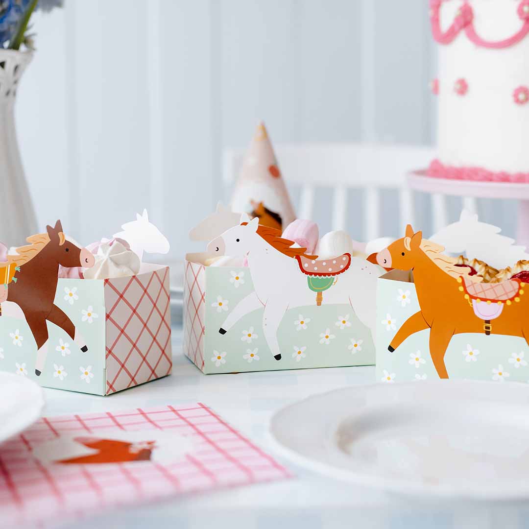 partydeco snackdoosjes - paarden - 3st | FNS8 | 2