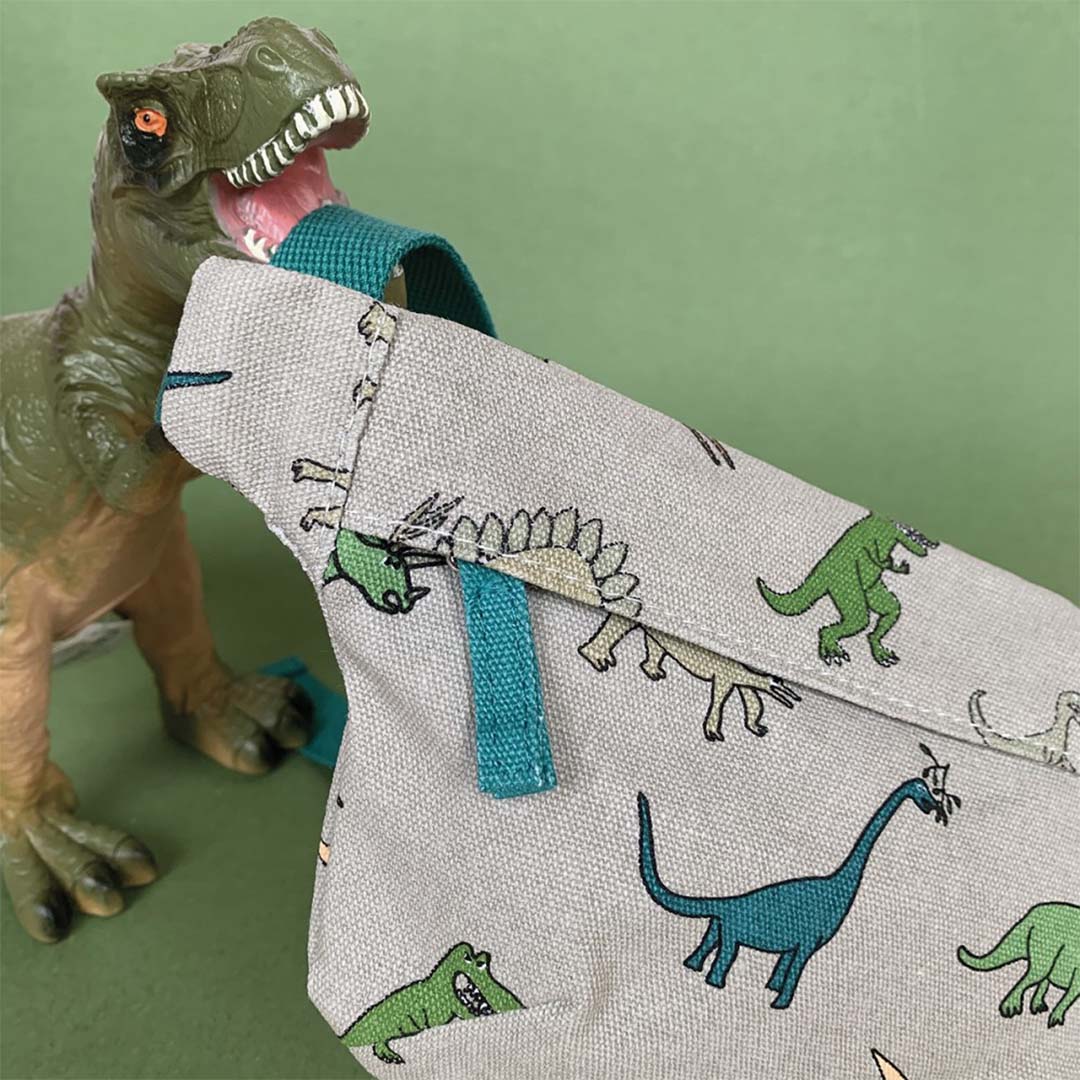 petit jour heuptasje dinosaurus | DI504L | 1