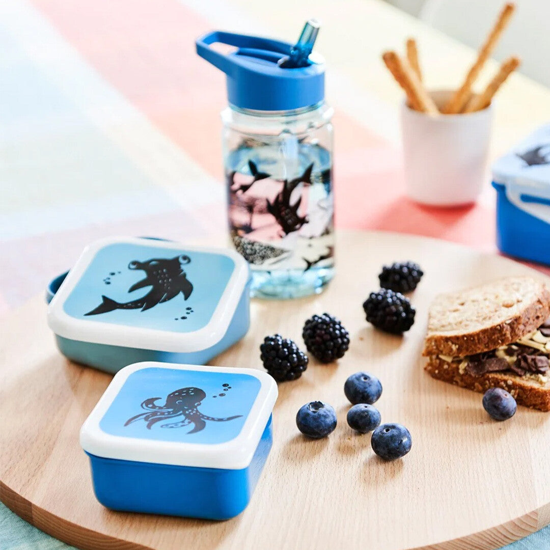 petit monkey snackdoosjes sea animals - 3st | LB21 | 1