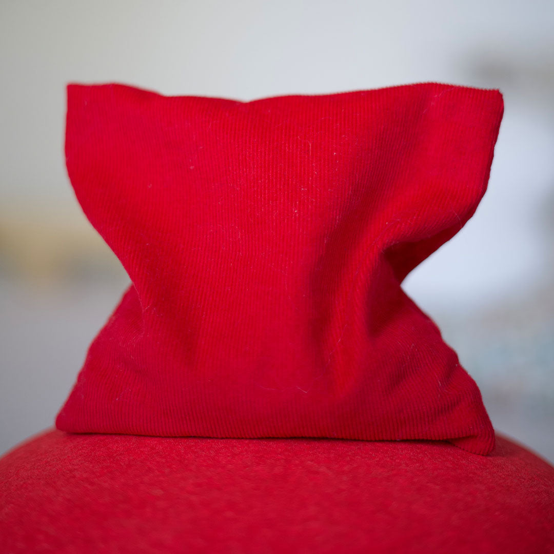 pit and play pittenzakje corduroy - classic rood | 6150835845810 | 11