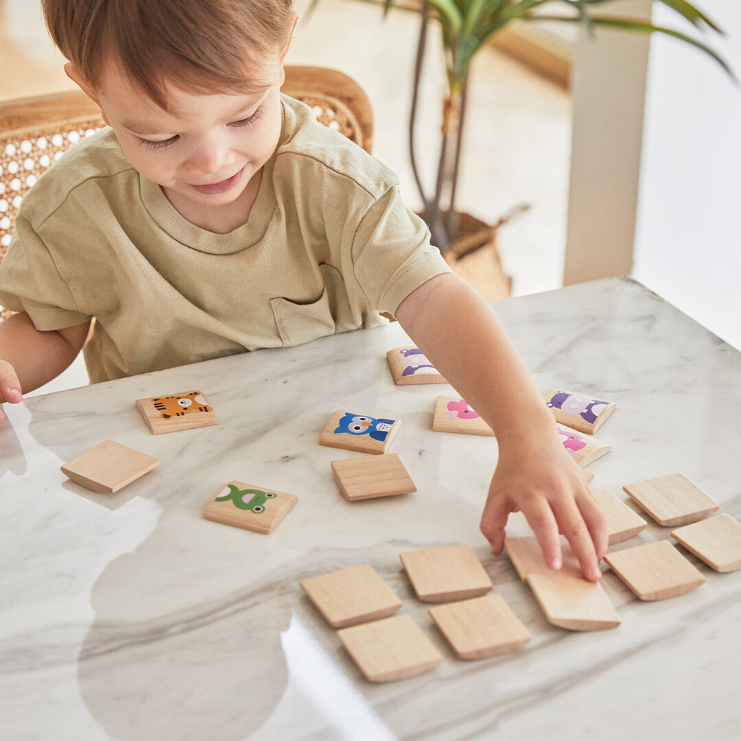 plan toys memorie dieren  | 4656 | 1