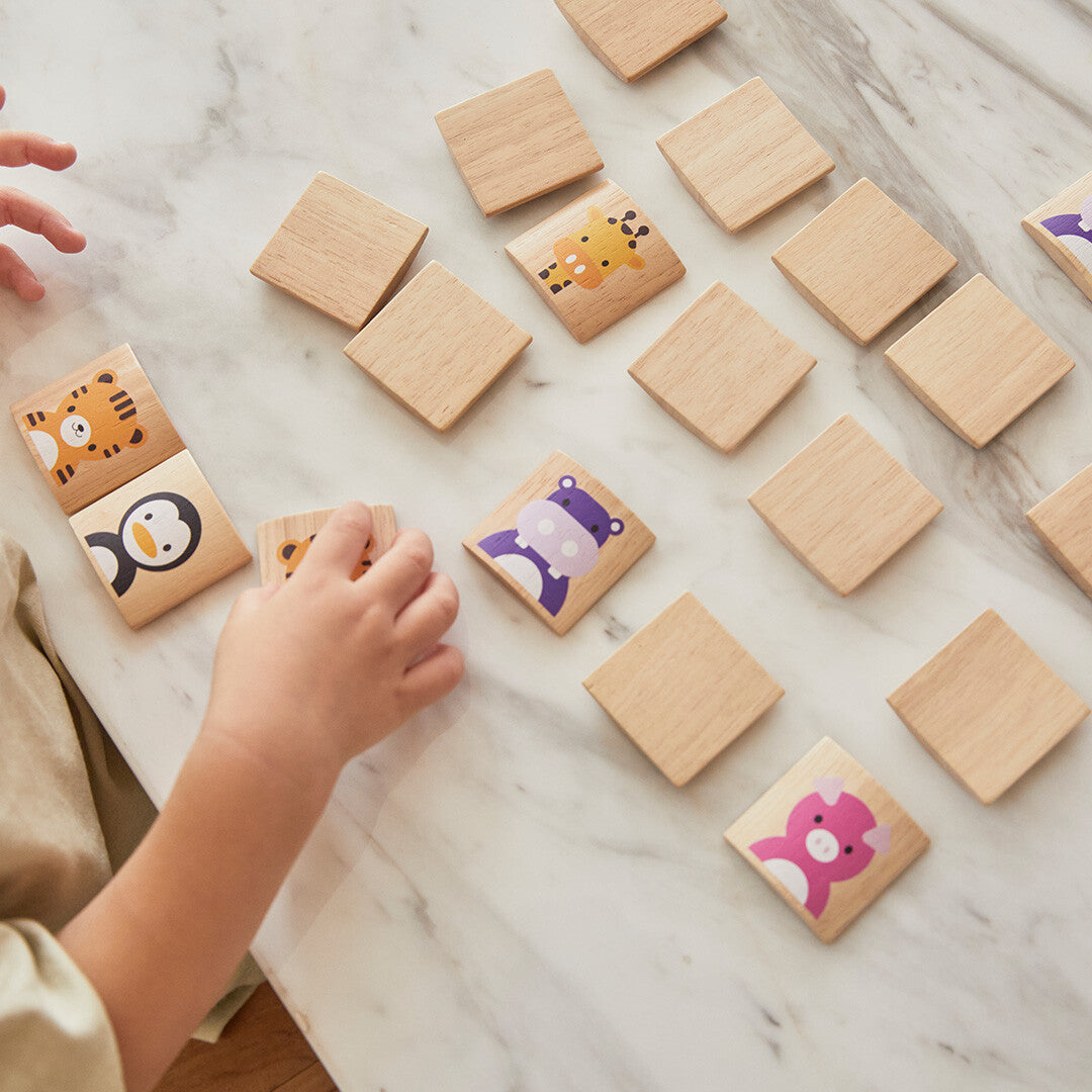 plan toys memorie dieren  | 4656 | 4