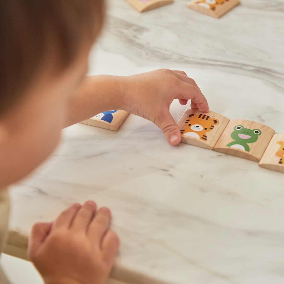 plan toys memorie dieren  | 4656 | 5