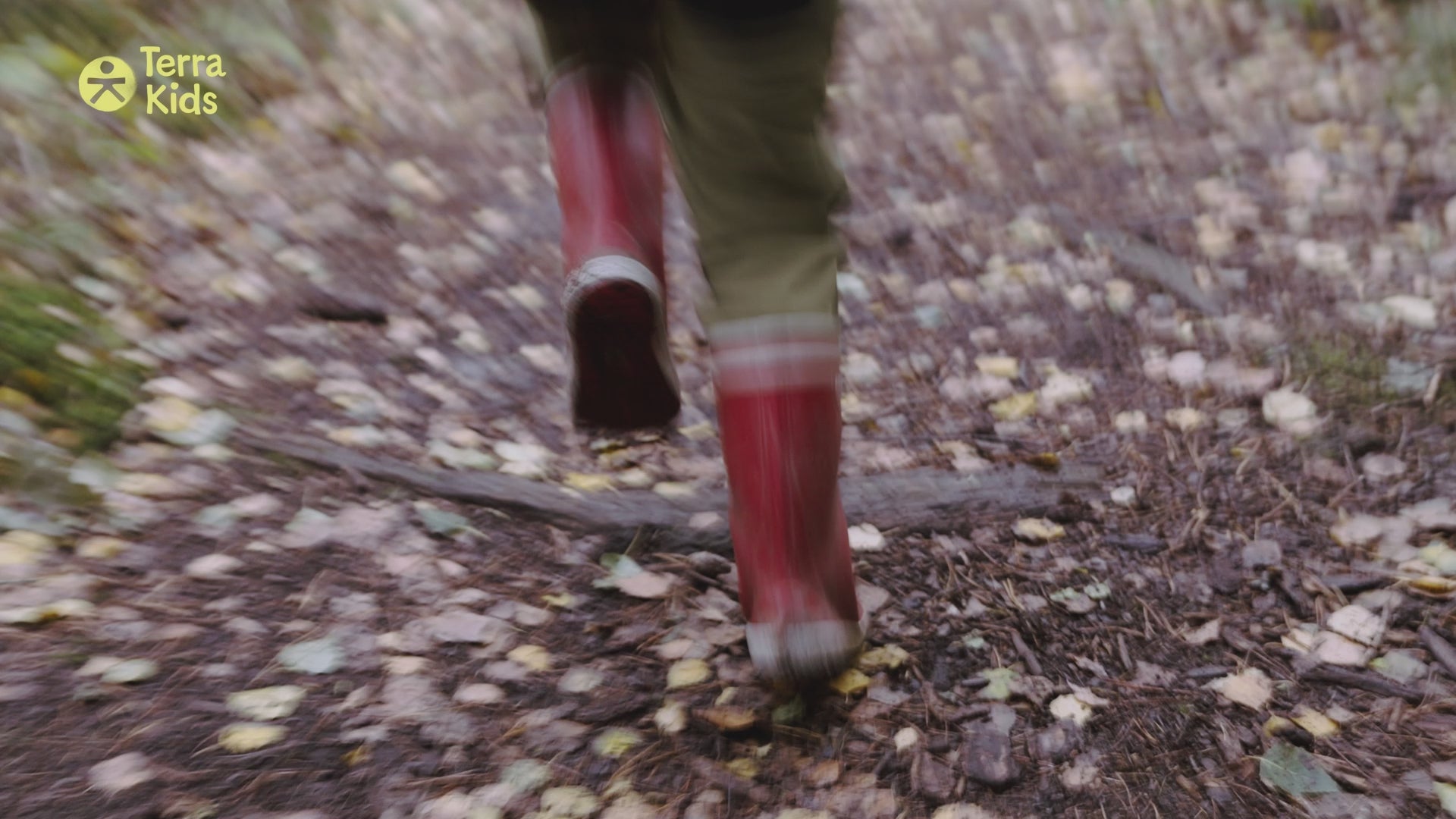 haba terra kids kompas - thermometer - loep | 2012395001 | video