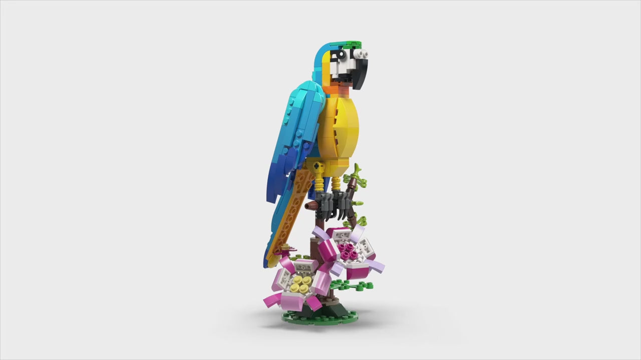 LEGO creator exotische papegaai (253 onderdelen)
